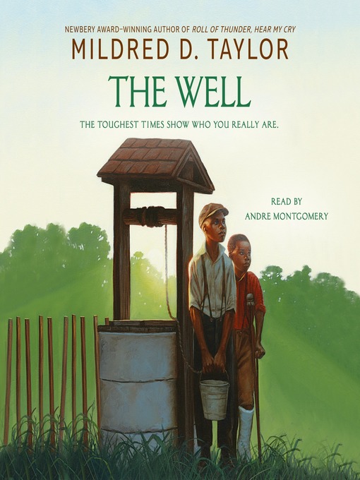 Cover image for The Well